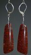 Red Agatized Dinosaur Bone Earrings #5252-3